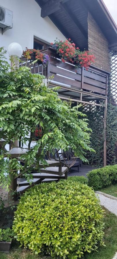 Alexander House Hotel Deva Ngoại thất bức ảnh
