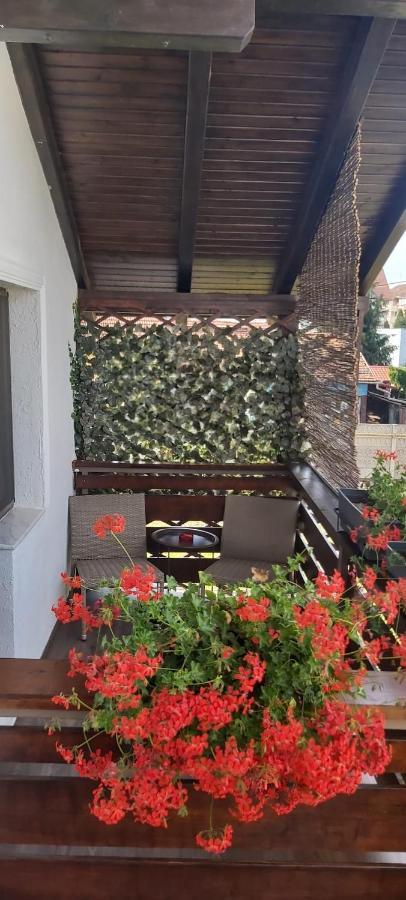 Alexander House Hotel Deva Ngoại thất bức ảnh