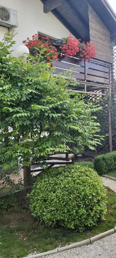 Alexander House Hotel Deva Ngoại thất bức ảnh