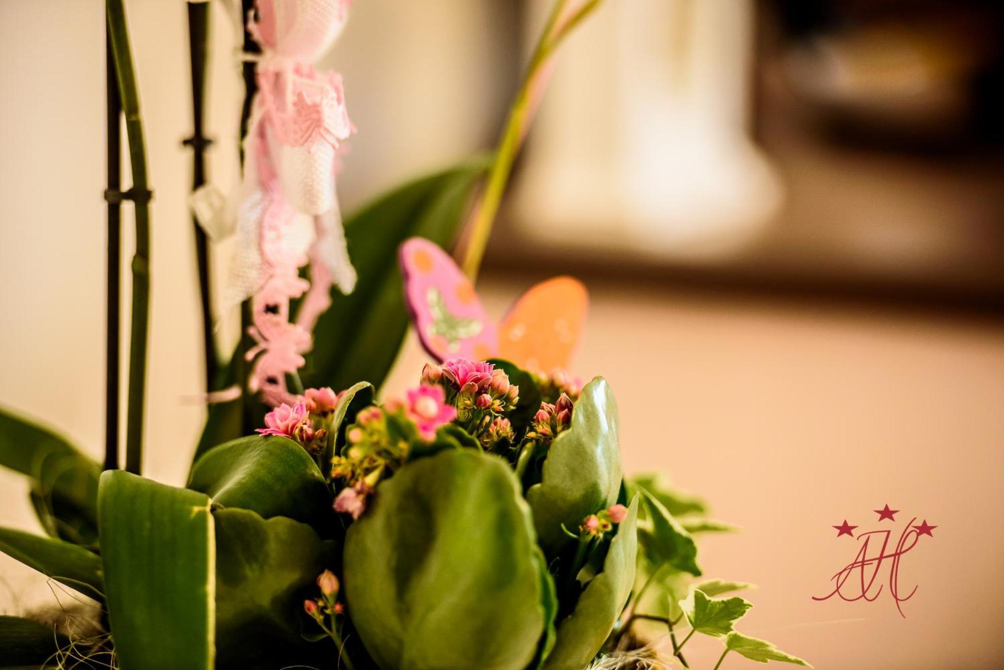 Alexander House Hotel Deva Phòng bức ảnh